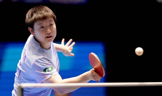 开云在线直播-国乒17胜2负！孙颖莎蒯曼3-0横扫，王艺迪+新星皆输日乒名将