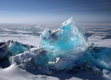 福特赛车部正式启用全新标识